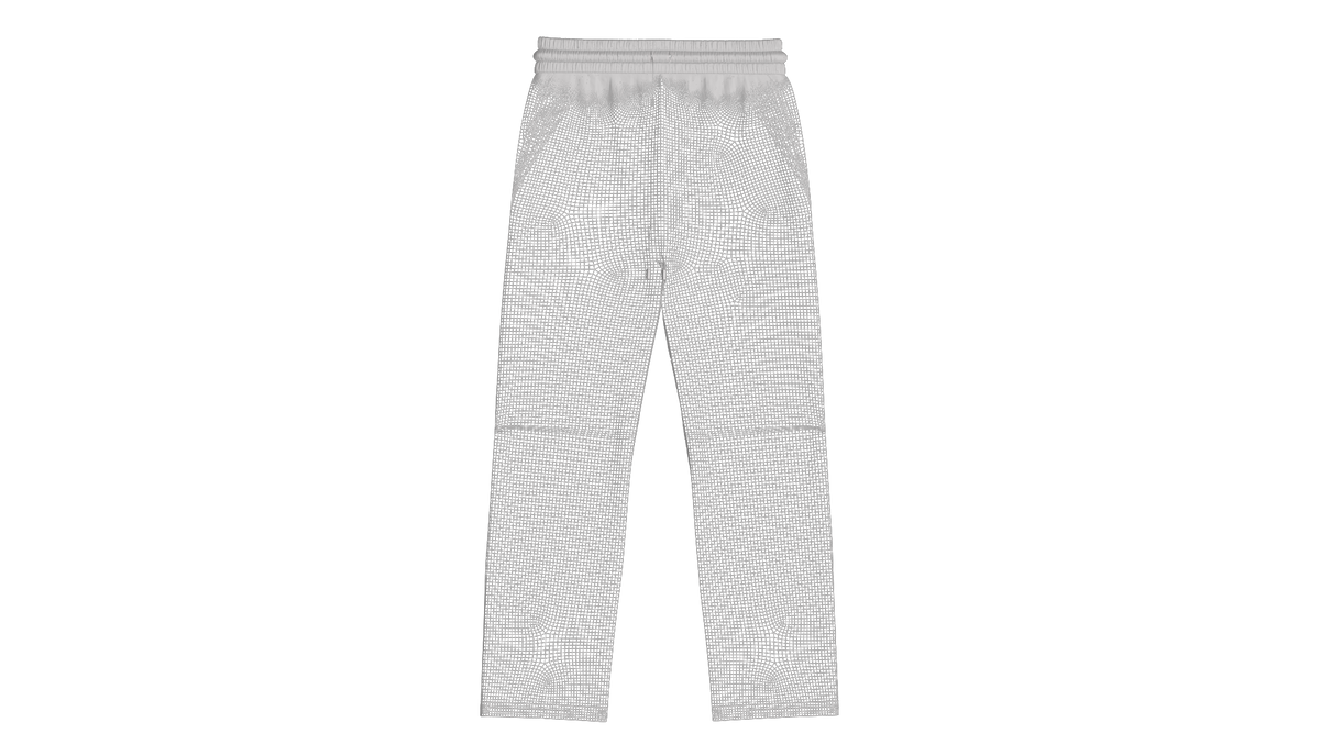 Heavy Nylon Knee Pleat Wide Leg Pant 3d Model Marvelous Designer-Clo3d-fbx-obj-Zprj