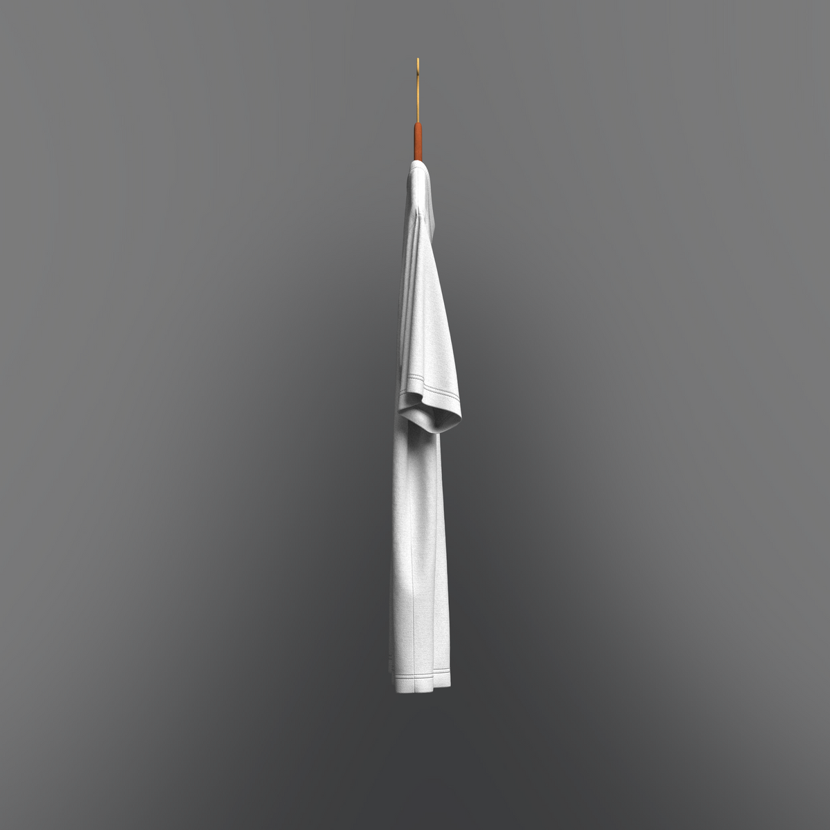 T-shirt on Hanger 3d Model Marvelous Designer-Clo3d-fbx-obj-Zprj